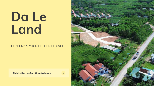 DA LE LAND – DON’T MISS YOUR GOLDEN CHANCE!