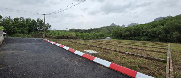 HẾT NHANH ĐỢT TRƯỚC – LẠC THỦY RA HÀNG KHU A, D & E NGÀY 18