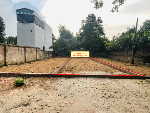 CHÍNH CHỦ CẮT LỖ 300TR BÁN NHANH 2 LÔ MẶT ĐƯỜNG PHÚ CÁT, CÁCH ĐẠI HỌC QUỐC GIA 1KM.