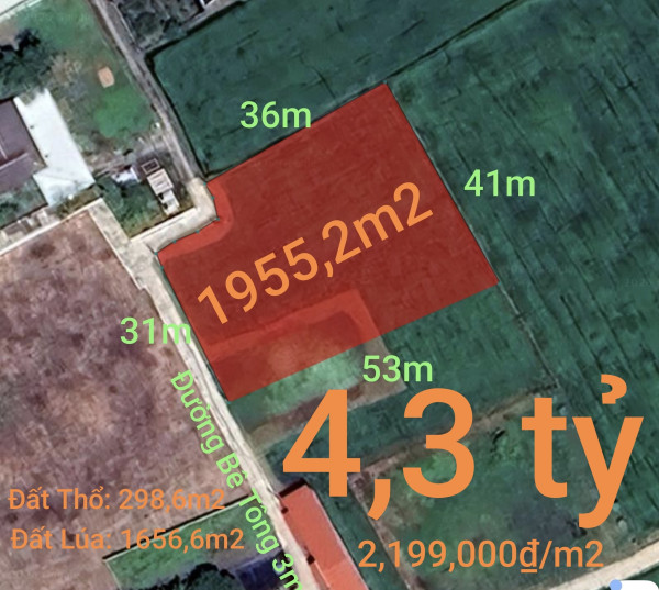 Bán lô đất lúa chuyển thổ xã Vàm Cỏ gần Quốc Lộ 50B giá 3,1 tỷ