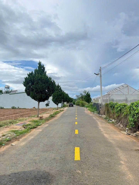 Bán đất Liên Nghĩa Lâm Đồng giá 2ty9-  DT242m2