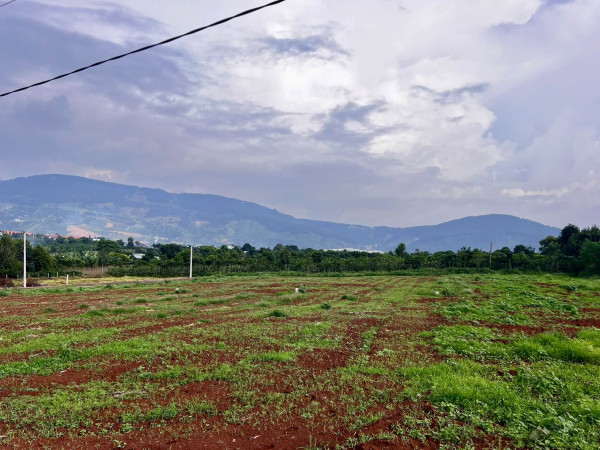 Cần Bán Đất Đông Thanh 350m², Mặt Đường Nhựa 8m, View Nam Ban, Đất Bằng Phẳng