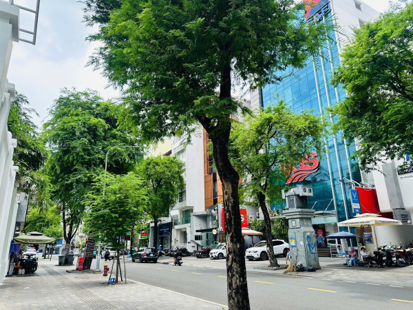 🔥NHÀ NGUYÊN CĂN MT NGUYỄN VĂN THỦ Q1, 4 TẦNG THANG MÁY , 54m2 (9*6) , CHỈ 90tr/th (TL)🔥